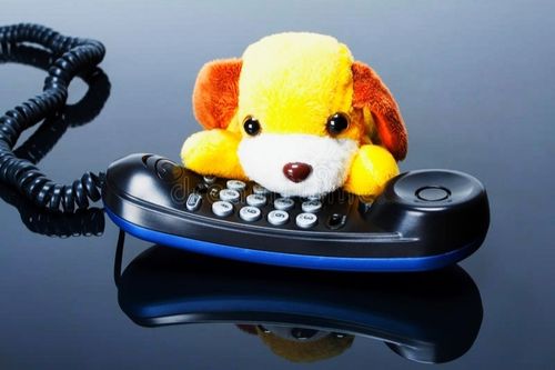 «Уруг айыылдыг байдалда» деп телефон шугуму