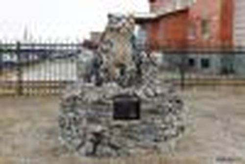 История барсиной семьи