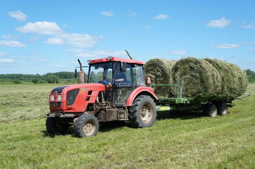 В Туве план по заготовке кормов выполнен на 81 %