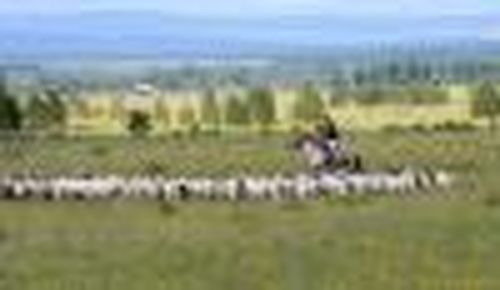 Под гарантии правительства