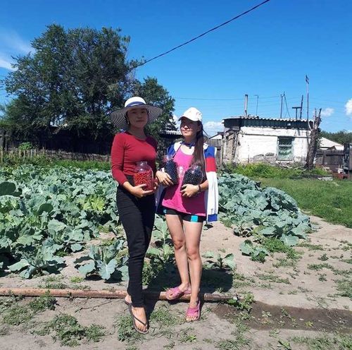 Студенты из Тувы собирают урожай не только дома, но и на Кубани