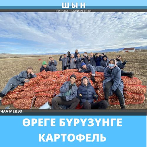 ӨРЕГЕ БҮРҮЗҮНГЕ КАРТОФЕЛЬ