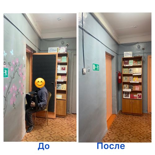 В специальной библиотеке Кызыла проводится косметический ремонт