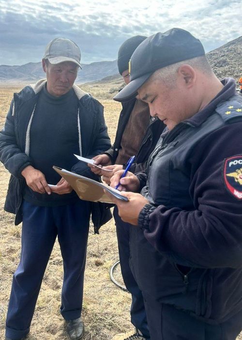 В Туве за девять месяцев 2025 года выявлено 335 случаев несанкционированного выпаса скота