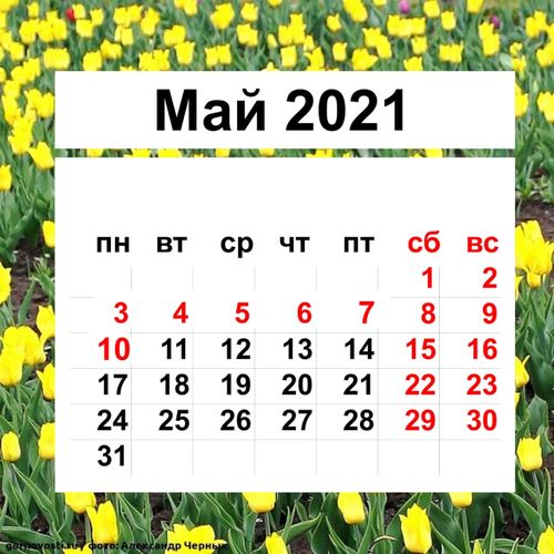 Отдыхаем с 1 по 10 мая