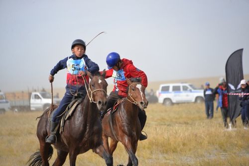 Жителям Тувы напомнили о запрете участия детей в конных скачках