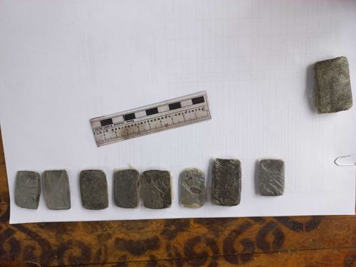 В Туве поймали крупного наркопроизводителя-рецидивиста