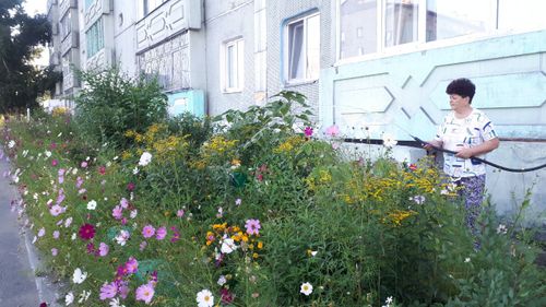 "ЦВЕТУЩИЙ КЫЗЫЛ": КРАСОТА СВОИМИ РУКАМИ