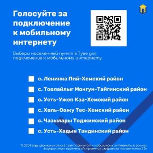 Жителей Тувы призывают активнее голосовать за села, которые подключат к Интернету