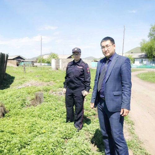 В Туве проверили готовность к уничтожению конопли