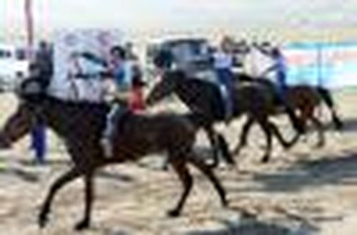 «Лада Гранта» для наездника