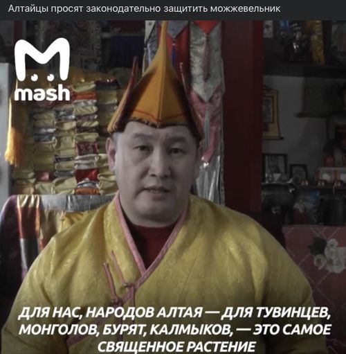 АЛТАЙЛАР АРТЫШТЫҢ КОГУН ҮСПЕЗИН НЕГЕП ТУРАР