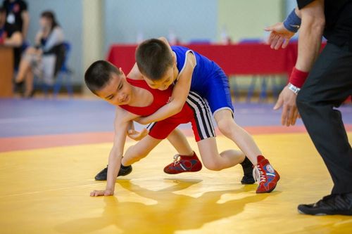 На «Госуслугах» стала доступна запись в спортивные школы Тувы