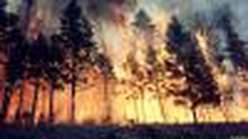 Стихия или система?