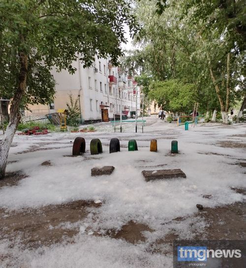 В чем опасность «летнего снега»