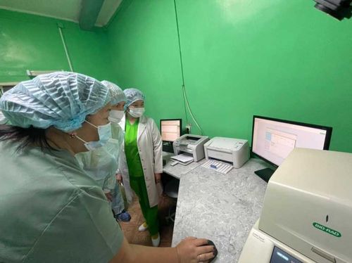 Туве необходимо современное оборудование для ускорения диагностики ПЦР-тестов