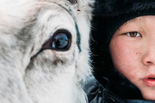 Подать заявление на малочисленные народы можно через МФЦ