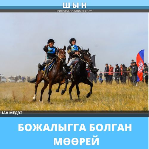 БОЖАЛЫГГА БОЛГАН МӨӨРЕЙ