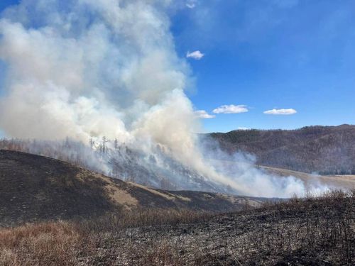 С начала пожароопасного сезона в Туве зарегистрировали два лесных пожара