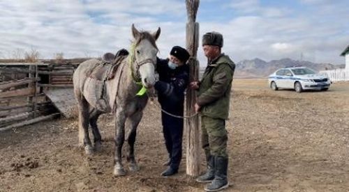 Тывада мал кадарарының чурумун хажытканы дээш харыысалга шыңгыыраан