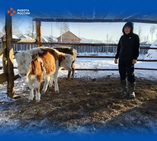 В Туве ветеран СВО развивает личное подсобное хозяйство благодаря соцконтракту