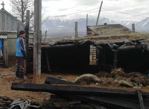 Чабанам, потерявшим при пожаре скот, подарят 89 голов овец и коз