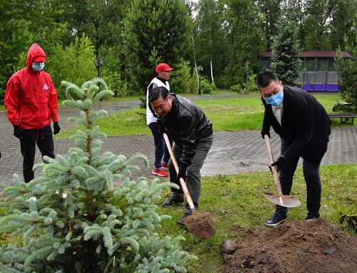 Врио главы Тувы вместе с активистами молодежных движений высадил голубые ели