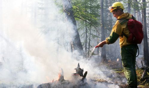 Угрозы населенным пунктам в Туве от лесных пожаров нет