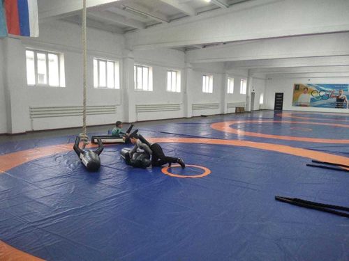 В Туву поступило новое оборудование для школ олимпийского резерва