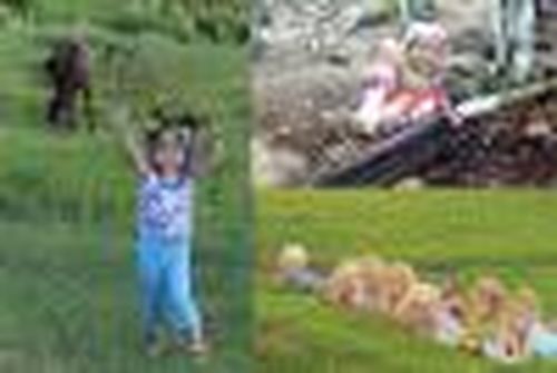 Фотоконкурс «Дитя природы» завершен