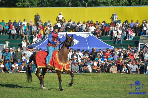 Чүглүг куш дег ужуга бээр чүгүрүктер…