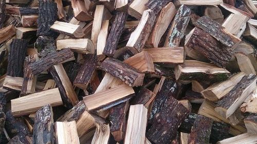 В Туве разрешат заготовку дров для семей мобилизованных граждан