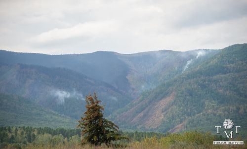В Туве сняли особый противопожарный режим