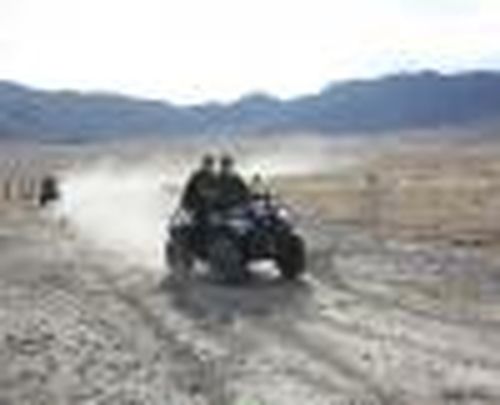 Суровая служба