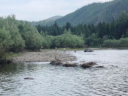 Айыыл-халап карак чивеш аразында болуп болурун утпазы чугула