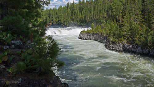 Особенности национальной охоты
