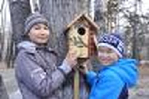 Гнездо — дело семейное