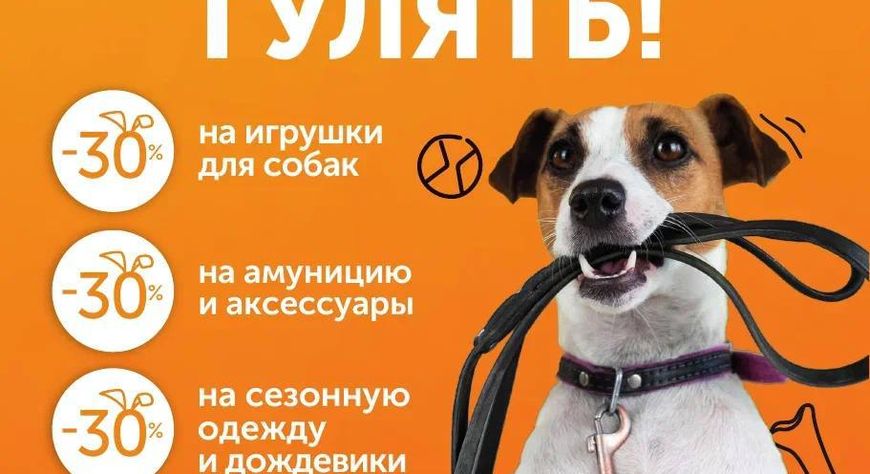 «Какая хорошая погода! Пойдем гулять?»