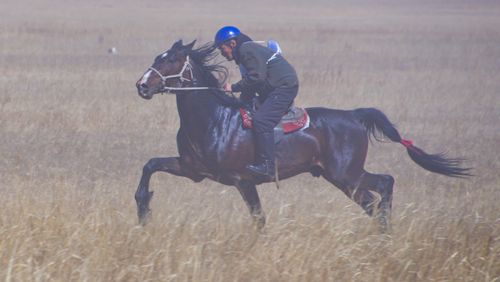 В Туве стартовал сезон конных скачек