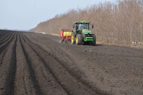 Россияне не ждут дефицита товаров