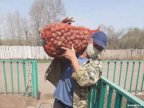 В Туве более 9,5 тысячи семей  получат семена картофеля в рамках губернаторского проекта
