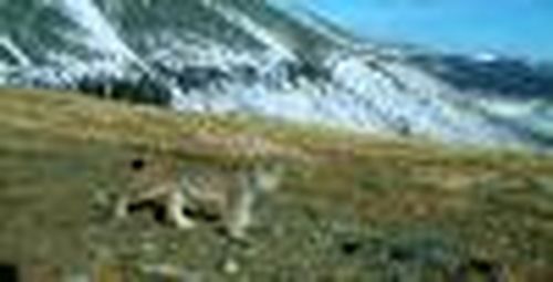 Путешествие в заповедный мир