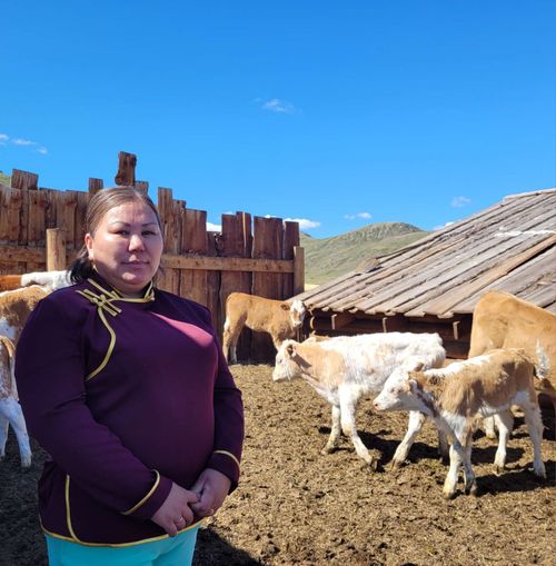 «Чүрекпенниң» ээлери малын хүлээткен