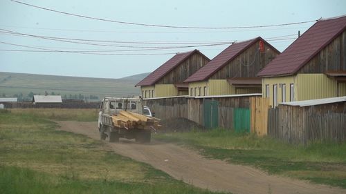 Өскүстерниң бажыңнарын хынап турар