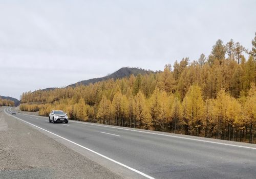 Сөөлгү чаданың ажылдары доозулган