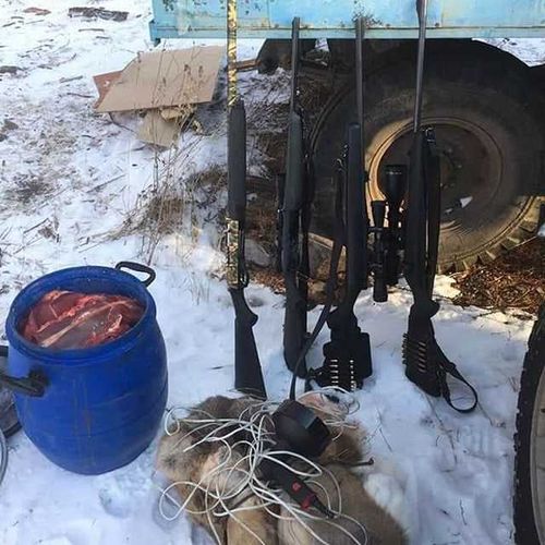 Открыт сезон охоты на браконьеров