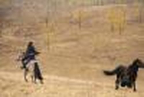 Молодой, да удалой