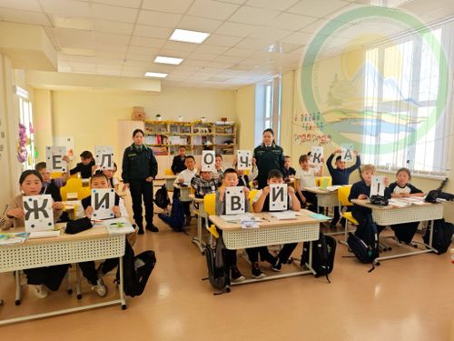 В Туве проходит акция «Елочка, живи»