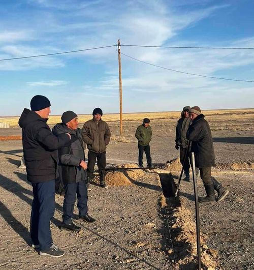 Сарыг-хөлчүлер чаа культура бажыңын тударынга белен