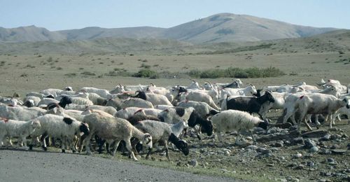 В Туве более 27 млн. рублей направили на реализацию проекта «Новая жизнь»